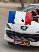 کاور موتور TU5+ پلاس پژو 206 و 207 و پارس-طرح فرانسوی شرکتی