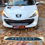 وردپلیت شیشه عقب پژو ٢٠۶ و ٢٠٧