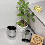 سر اگزوز ریموس اورجینال -مدل گرد