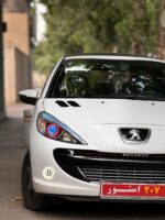 توری سپر نقره ای ردلاین پژو207 -اصلی ایساکویی - Image 7