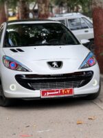 توری سپر نقره ای ردلاین پژو207 -اصلی ایساکویی - Image 9
