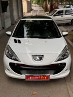 توری سپر نقره ای ردلاین پژو207 -اصلی ایساکویی - Image 8